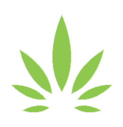 Raphael Pharmaceutical logo